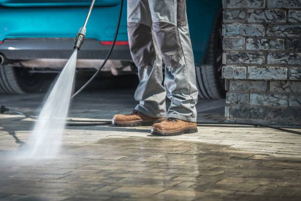 Best Spring Cleaning  in Elgin, MN