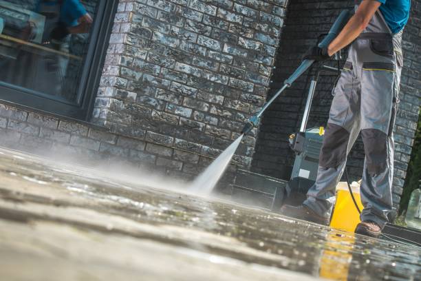 Best Oil Spill Cleanup  in Elgin, MN