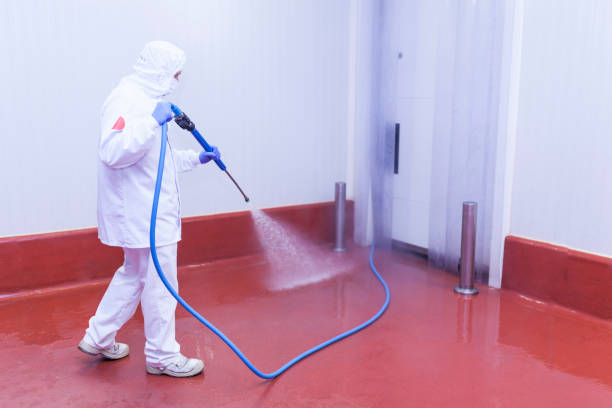 Best Rust Removal  in Elgin, MN