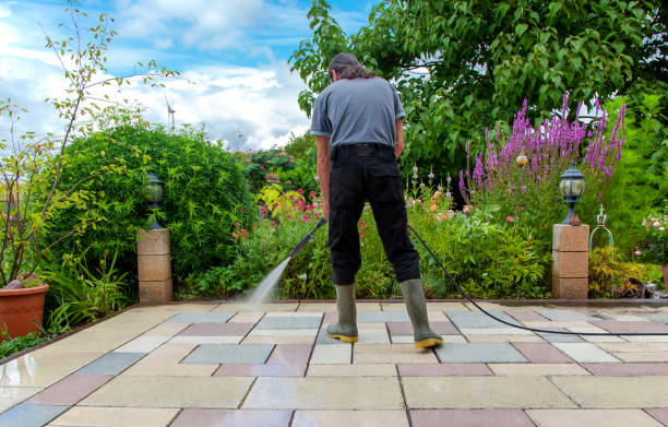 Best Driveway Pressure Washing  in Elgin, MN