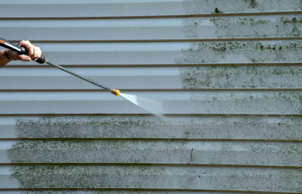 Best Parking Lot and Garage Cleaning  in Elgin, MN