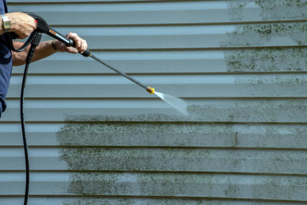 Professional  Pressure Washing Services in Elgin, MN
