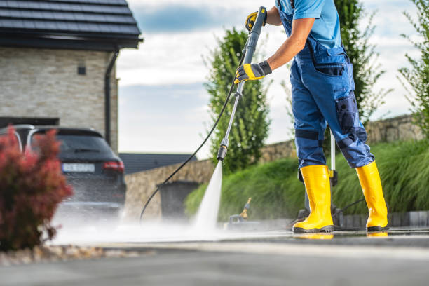 Best House Exterior Washing  in Elgin, MN